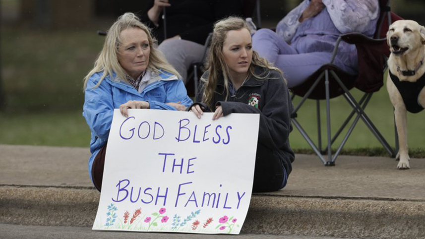 bush_1.jpg