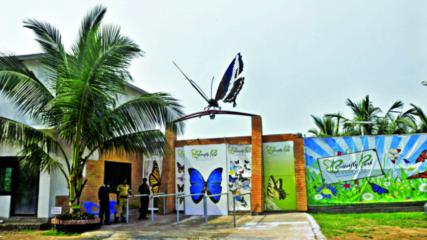 Butterfly5.jpg