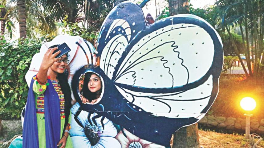 butterfly8.jpg