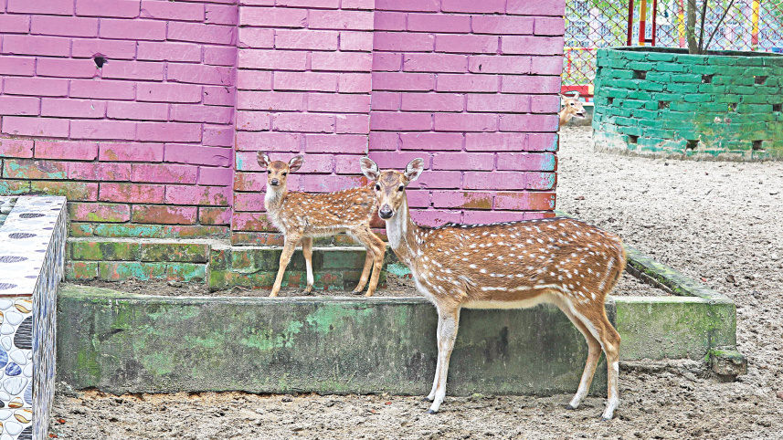 chattogram-zoo-3.jpg
