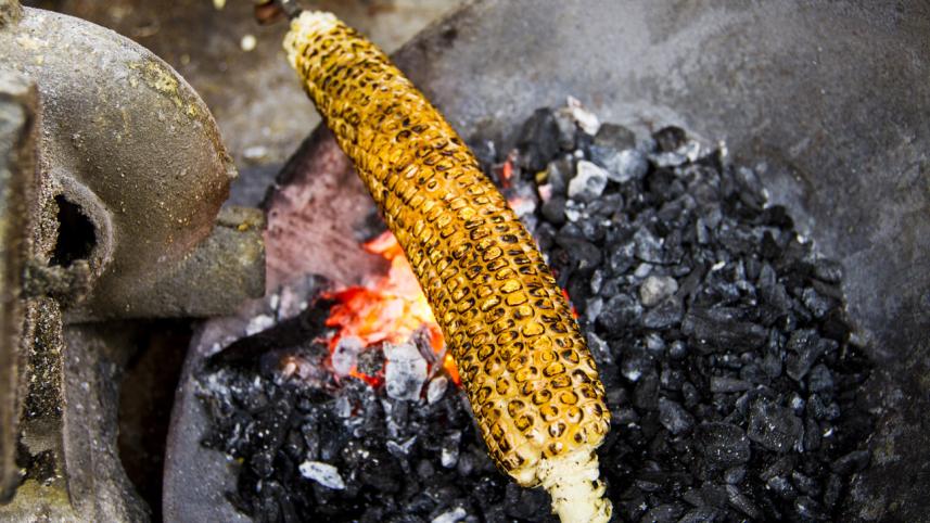 Corn