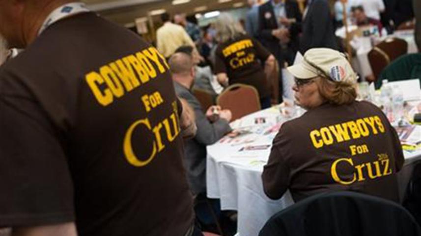 cruz-web.jpg