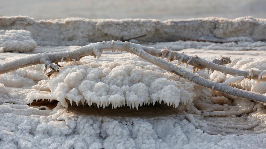 Dead-Sea-3WB.jpg