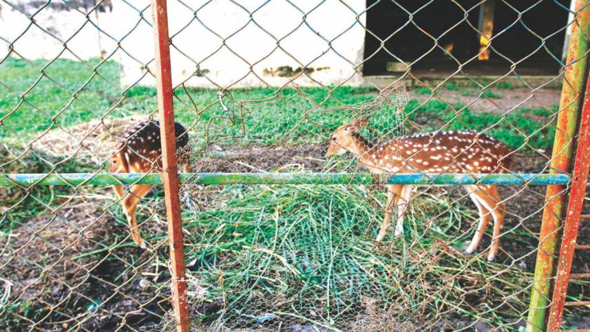 death_camps_for_wildlife4.jpg