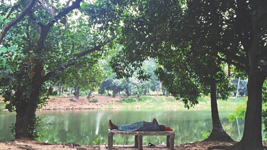 Dhaka's Green Heart