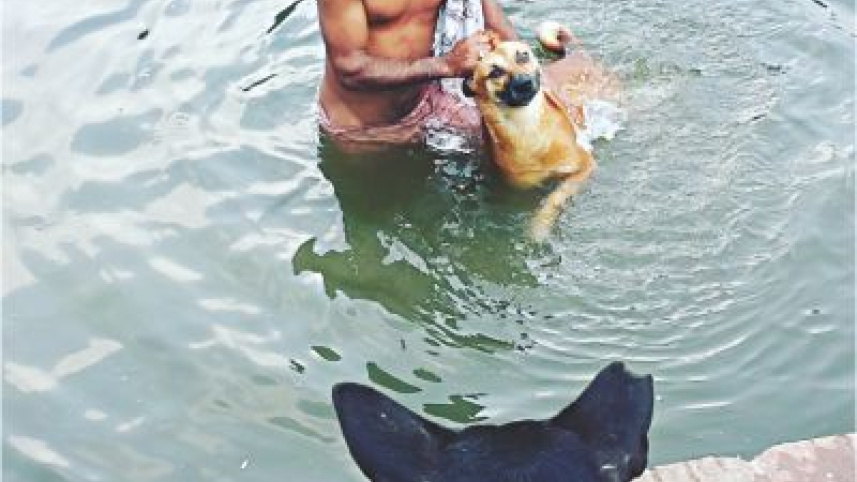 dog.jpg