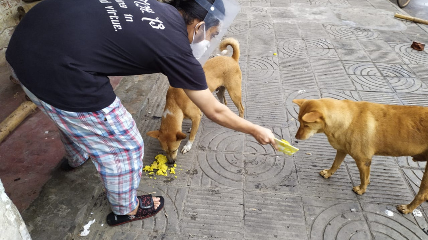 dogs.jpeg