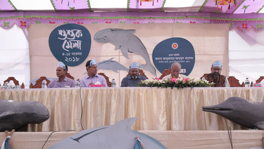 dolphin-web.jpg