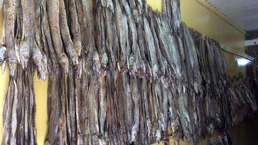 Dry-fish-photo-04-web.jpg