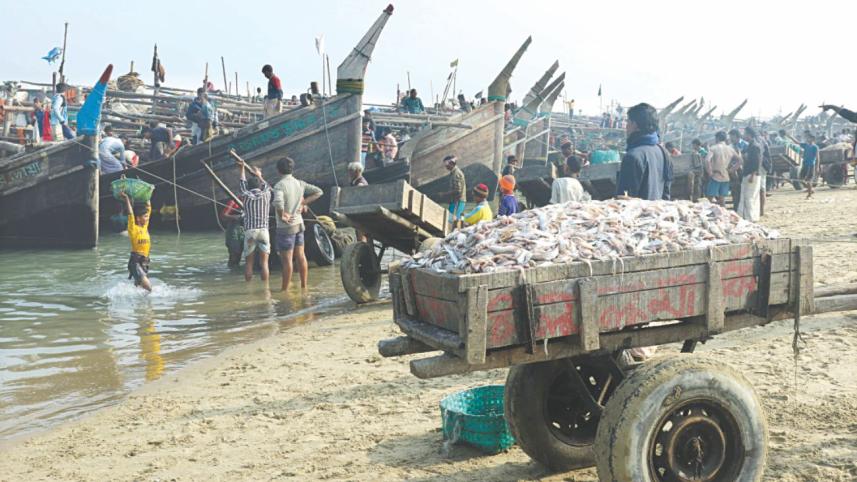 dry_fish3.jpg