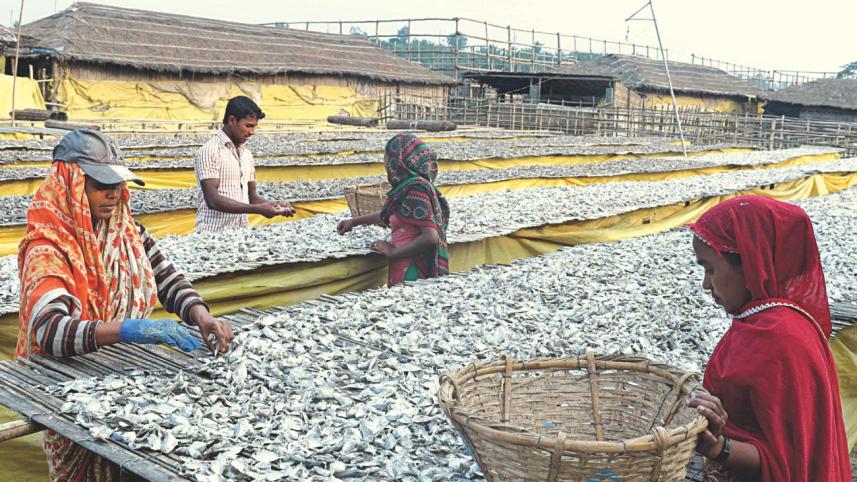dry_fish9.jpg