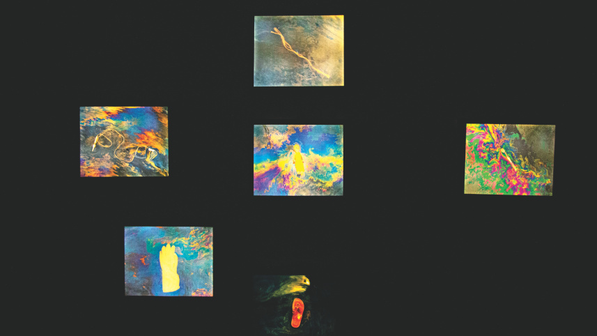 dwip_gallery_1.jpg