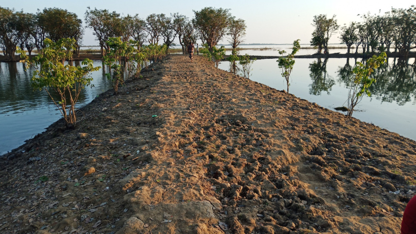 dyke_on_sunamganj_haors_2.jpg