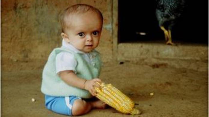 Ecuadorian-Dwarf--6WB.jpg