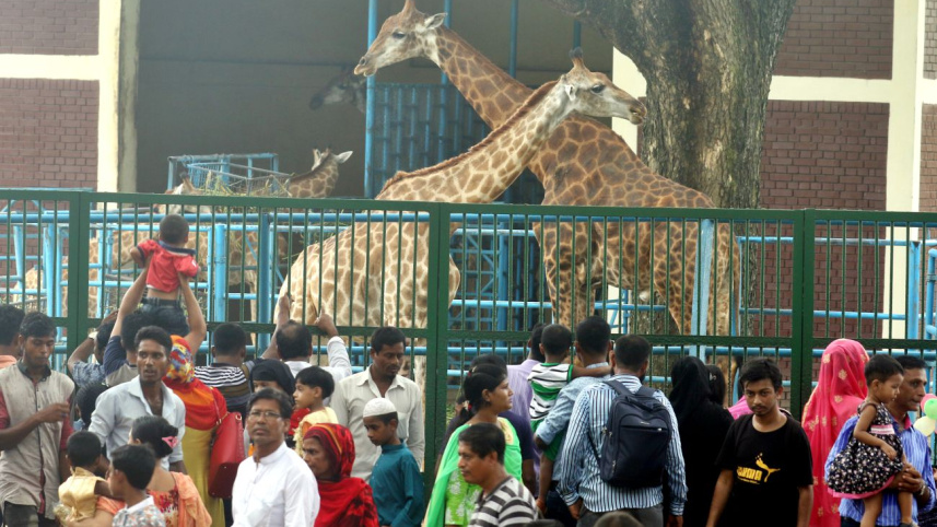 eid_excursions9.jpg