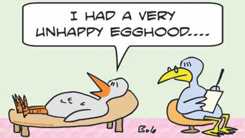 Fantastic Birds