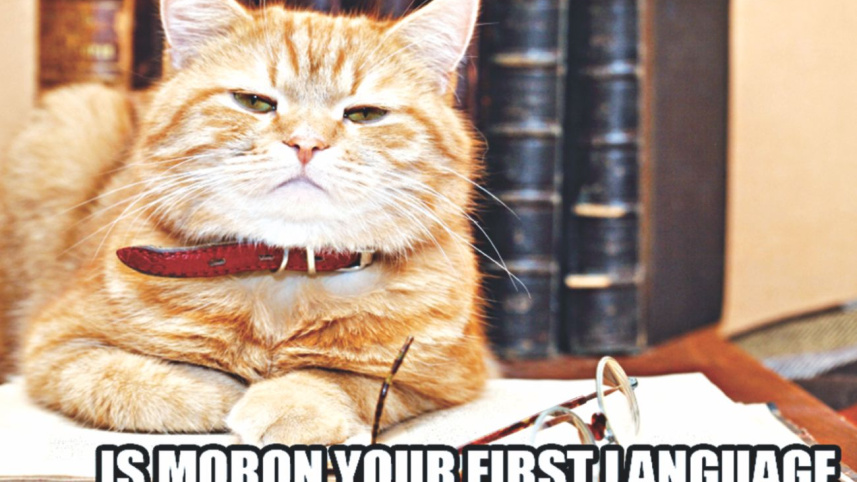 FAQ about Writers