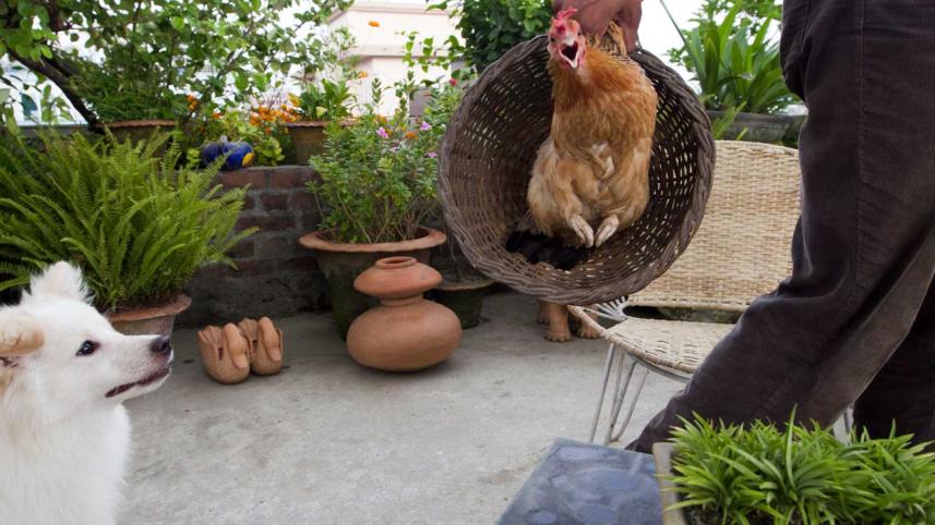 Farmer