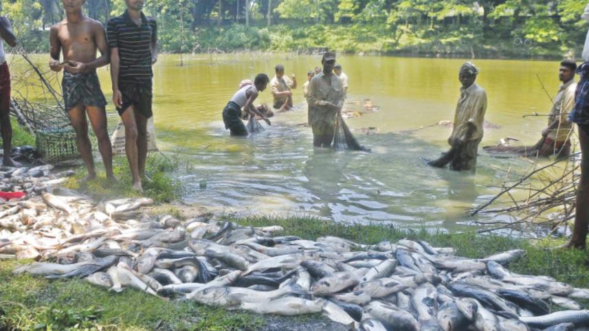 Fertiliser Factory Blast, Gas disaster in ctg, toxic ammonia emission, Chittagong