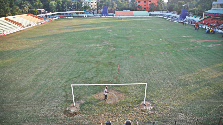 field_0.jpg