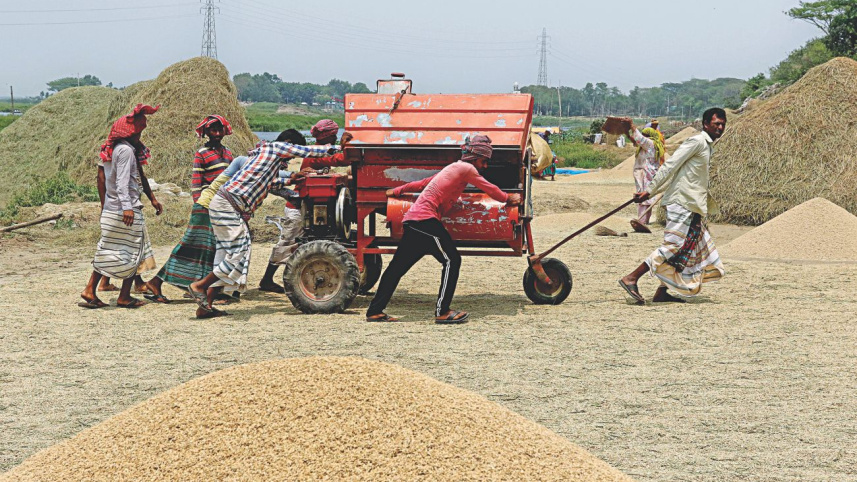 fields_of_gold2.jpg