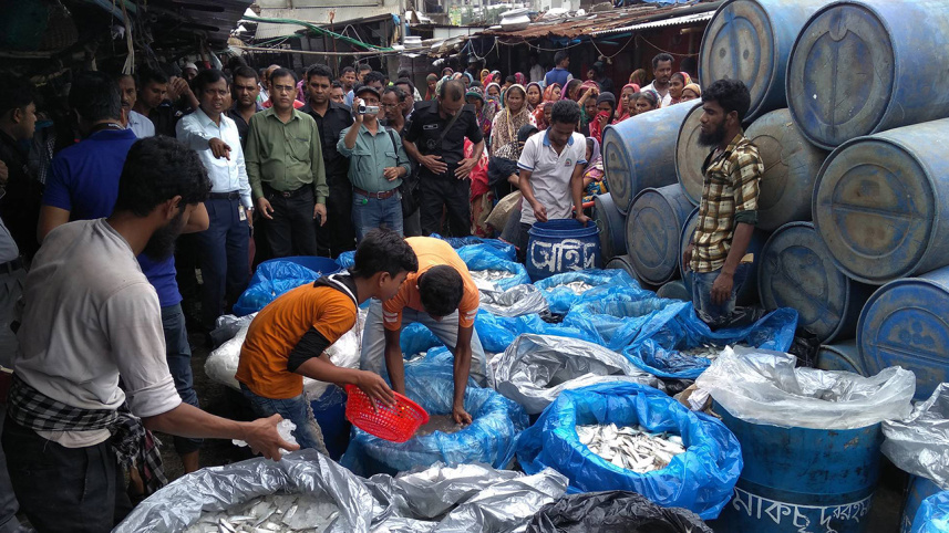 fish-palash.jpg