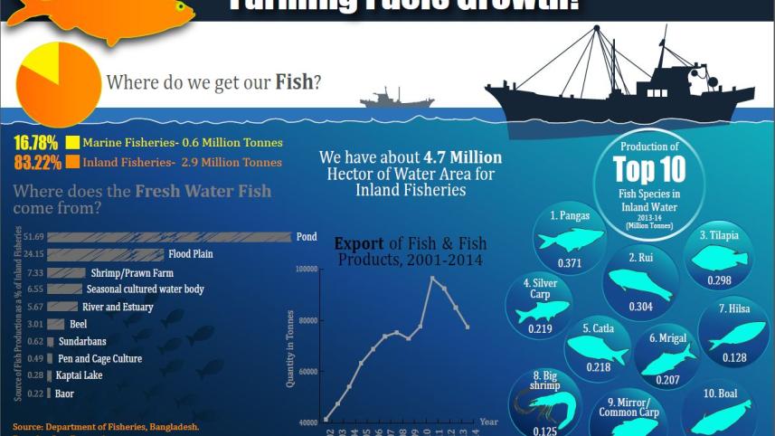 Fish2.JPG