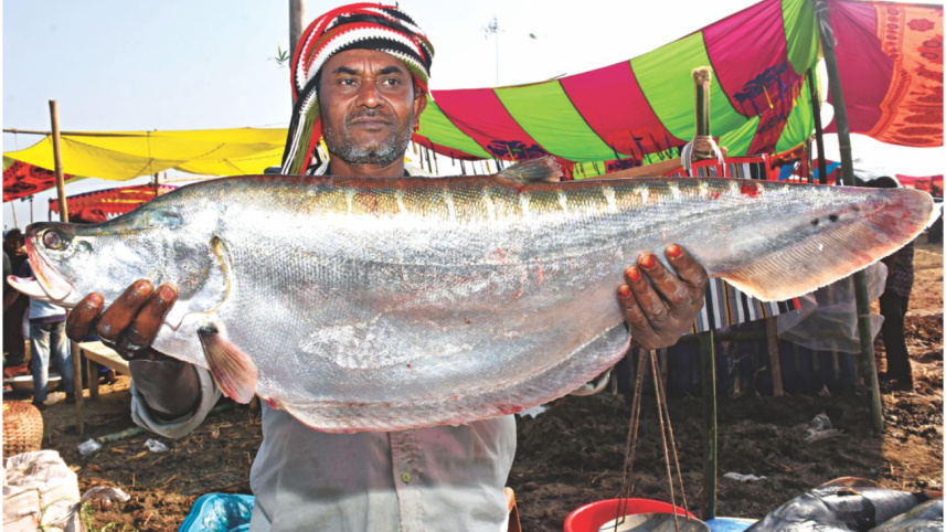 fish2_2.jpg