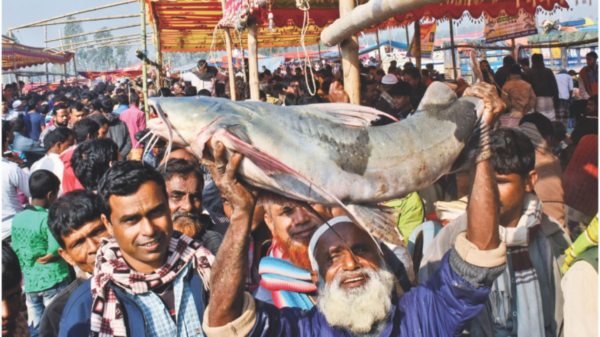 fish8_0.jpg