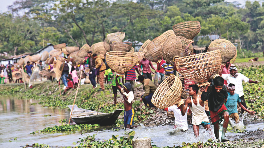 fish_catching11.jpg