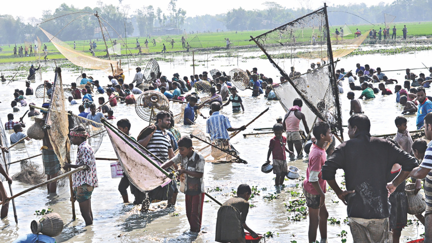 fish_catching13.jpg