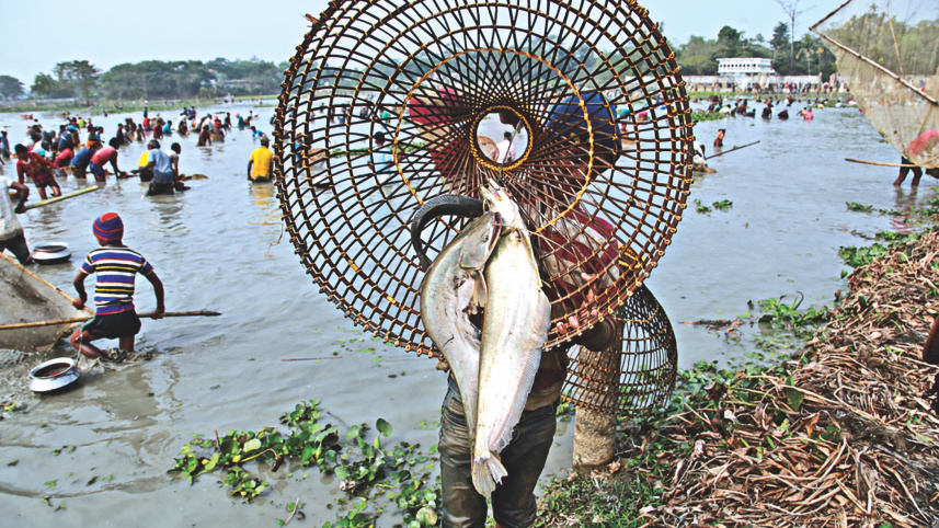 fish_catching4.jpg
