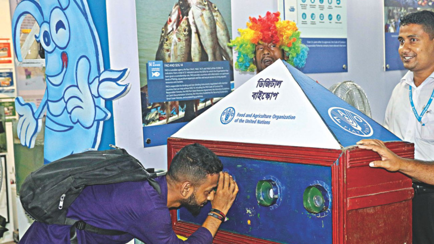 fish_fair11.jpg