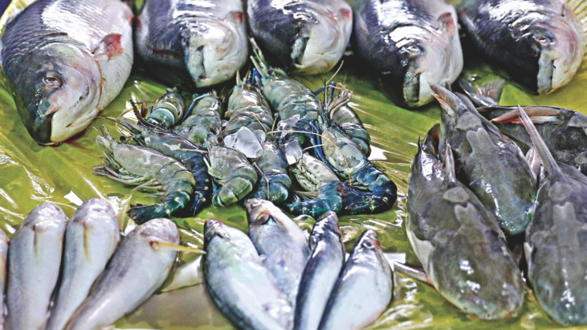 fish_fair2.jpg