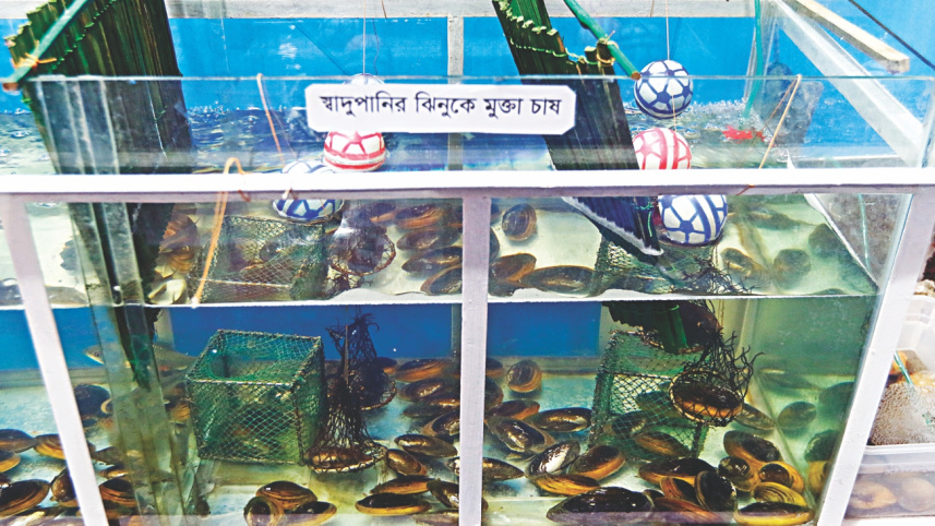 fish_fest_5_0.jpg