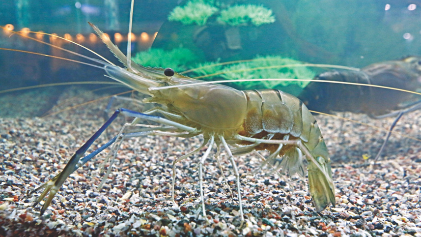 fish_fest_8_0.jpg