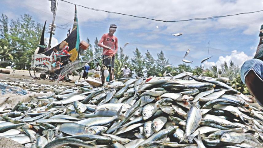 fisherman3.jpg