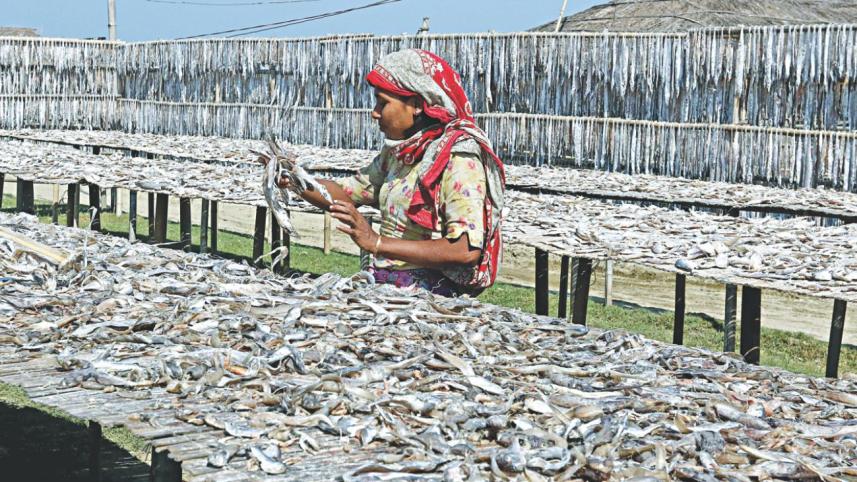 fisherman8.jpg