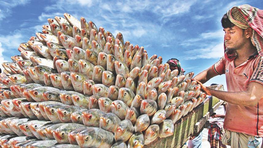 Fisheryghat 6.jpg