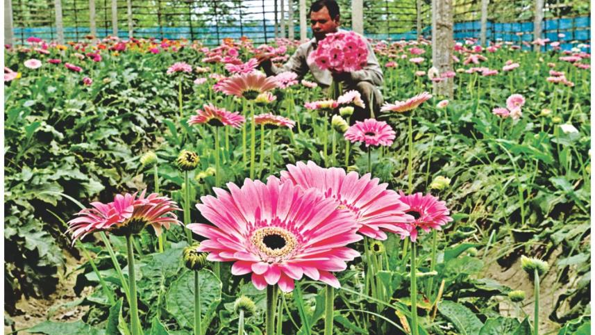 Flower1.jpg