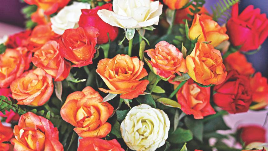 Flower Fiesta 2.jpg