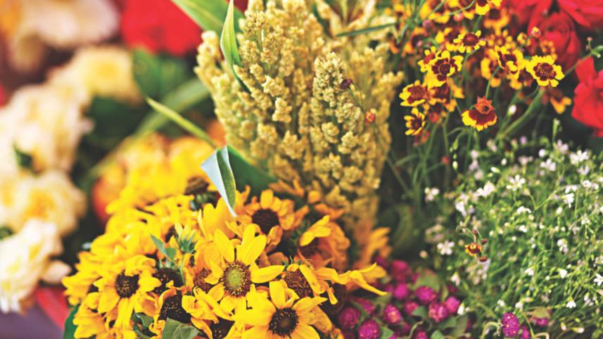 Flower Fiesta 6.jpg