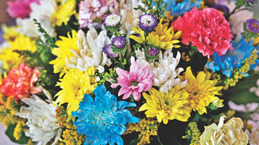 Flower Fiesta 9.jpg