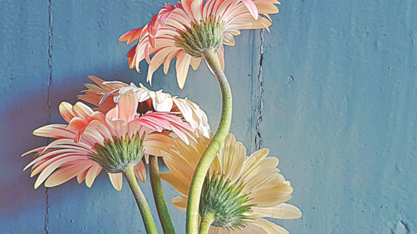 flowers.jpg