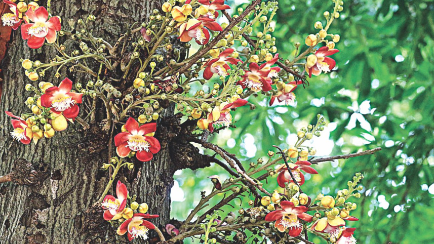 flowers2.jpg