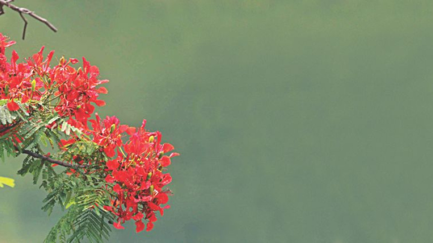 flowers_2.jpg