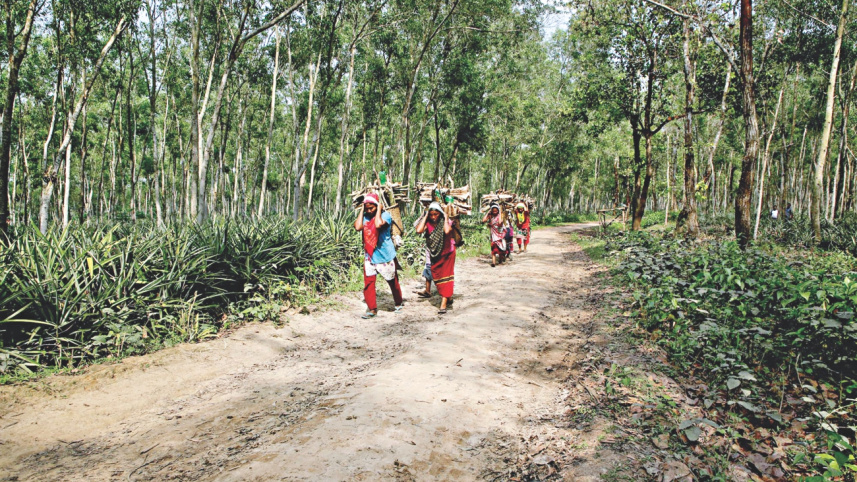 forest3.jpg