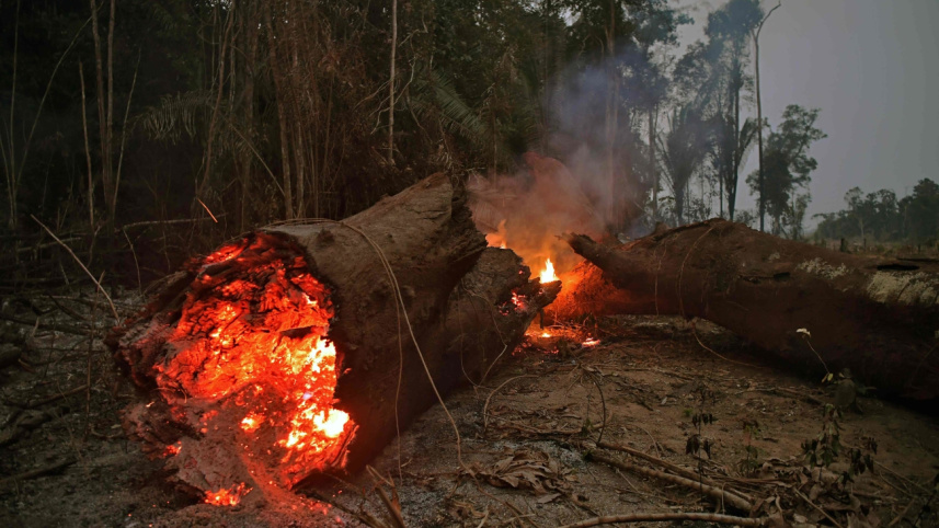 forest_fire1.jpg