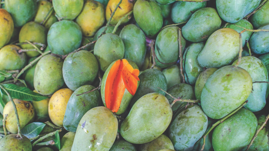fruits4.jpg