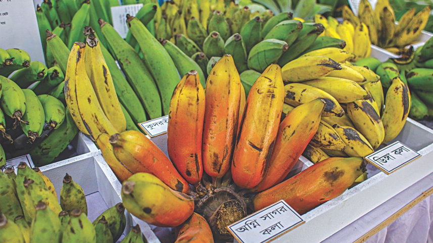 fruits5.jpg